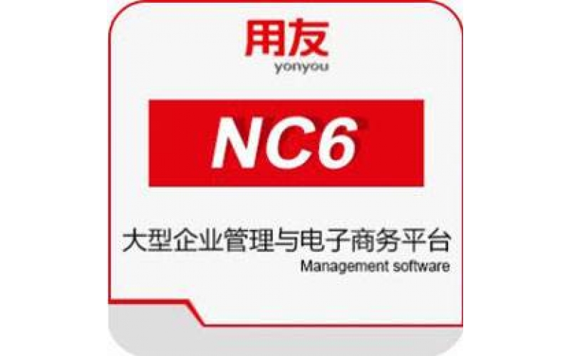 用友 NC6 大型企业管理与电子商务平台